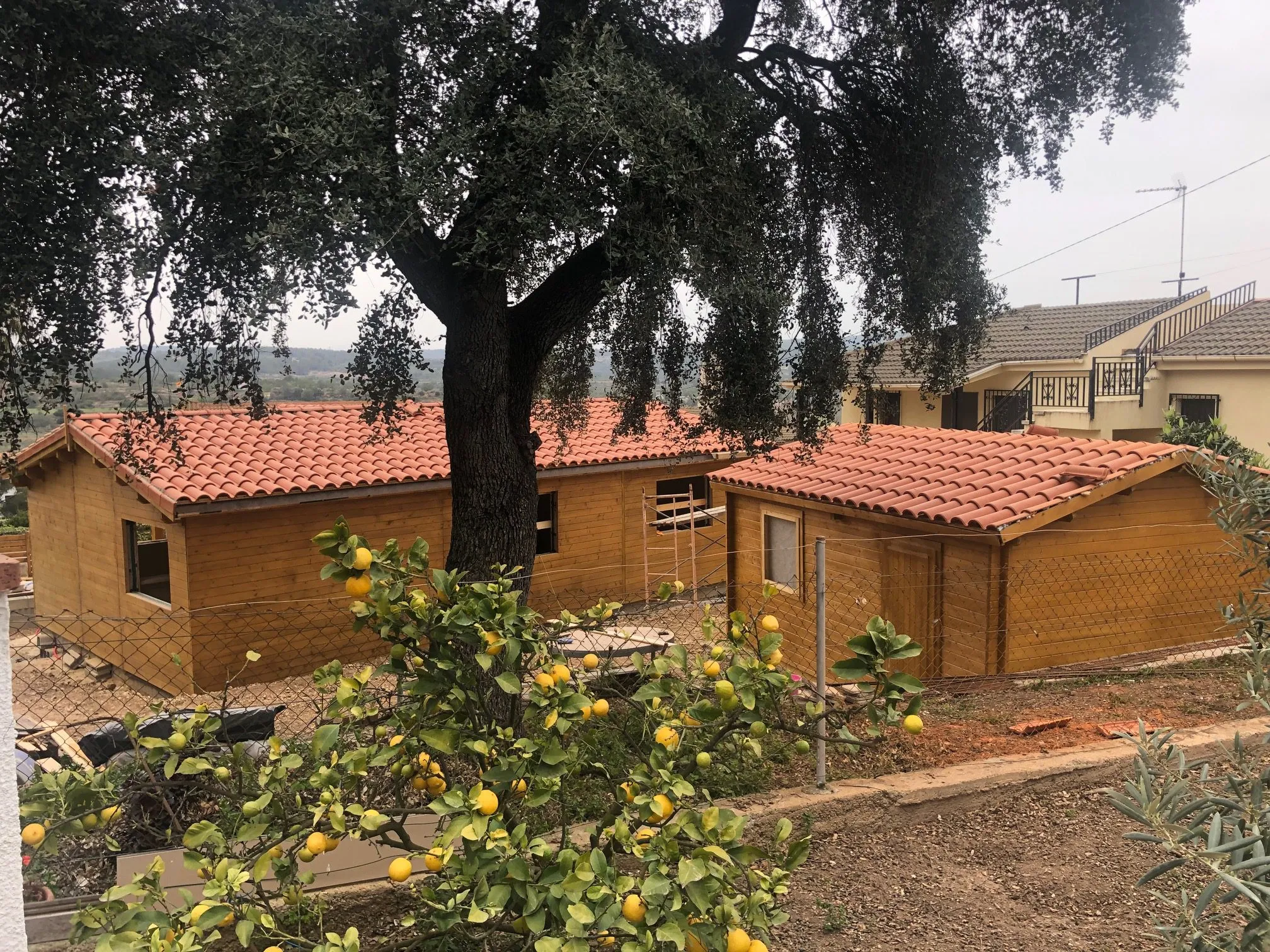 Casa de mad (5)