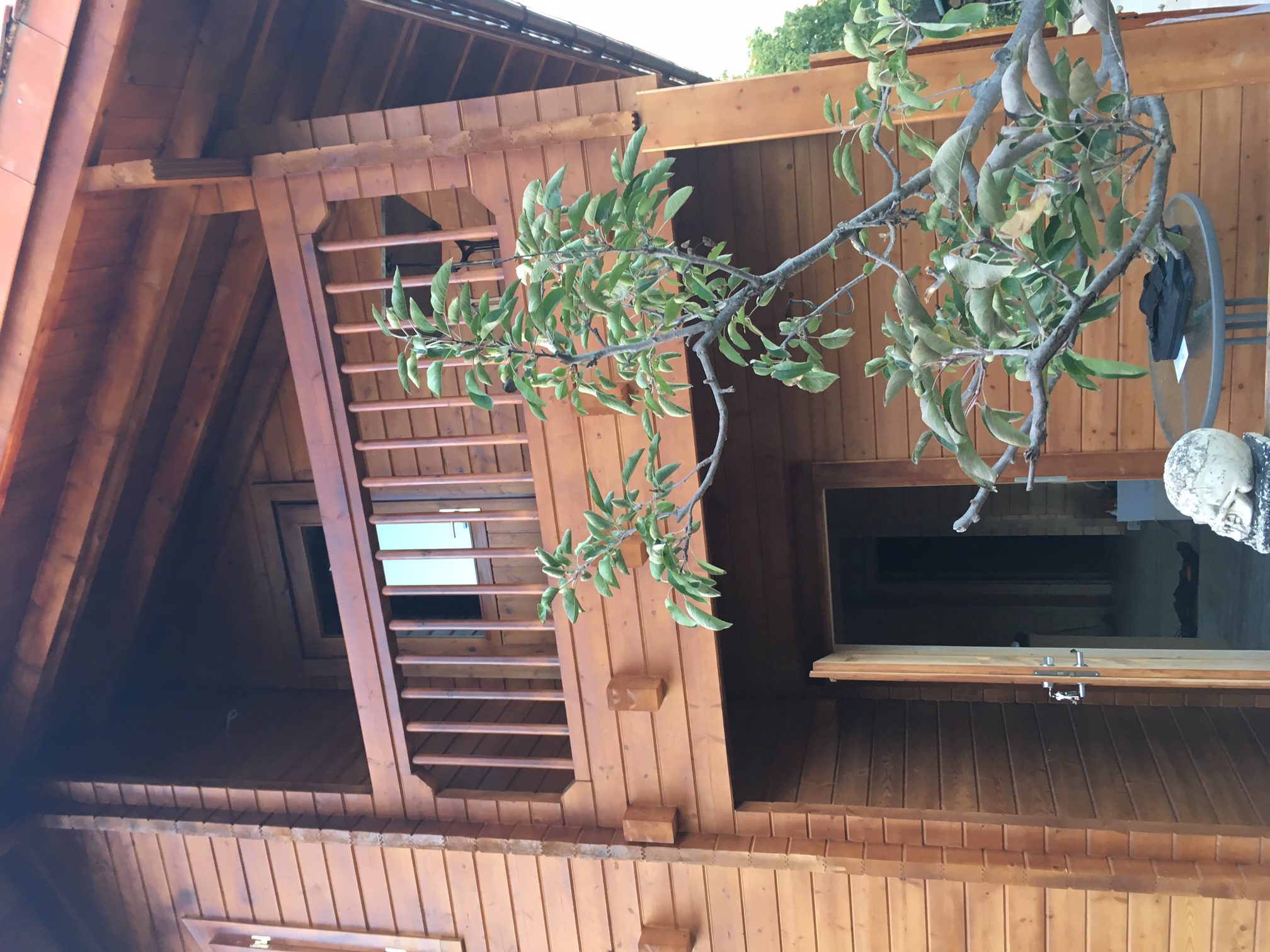 casa de madera modelo Relin en Tarragona (12)